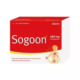 SOGOON 480 mg filmbelagte tabletter, 100 ST
