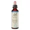 BACHBLÜTEN Bøkedråper, 20 ml