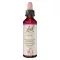 BACHBLÜTEN Oak Drops, 20 ml