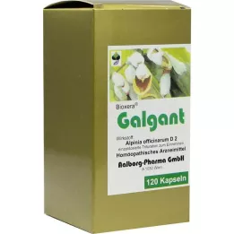 GALGANT Kapseln, 120 stk