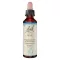BACHBLÜTEN Vinrankedråper, 20 ml