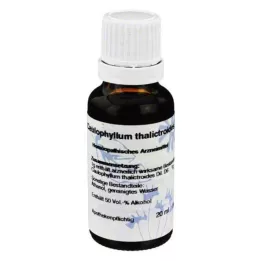 CAULOPHYLLUM D 6 fortynning, 20 ml
