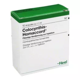 COLOCYNTHIS HOMACCORD Ampoules, 10 stk