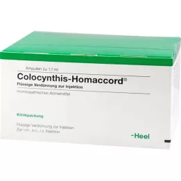 COLOCYNTHIS HOMACCORD Ampoules, 100 stk