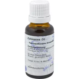 ECHINACEA D 2 fortynning, 20 ml