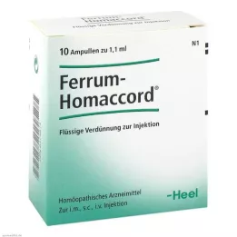 FERRUM HOMACCORD Ampoules, 10 stk