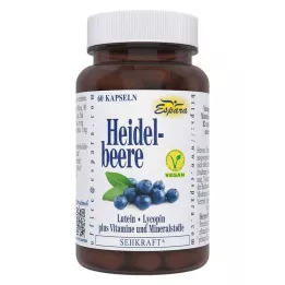 HEIDELBEERE KAPSLER, 60 stk
