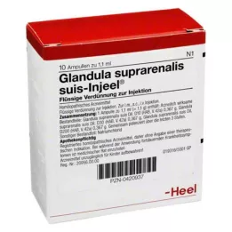 GLANDULA SUPRARENALIS Suis Inneel Ampoules, 10 stk