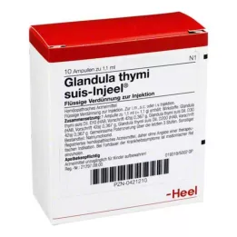 GLANDULA THYMI Suis Inneel Ampoules, 10 stk