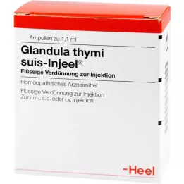 GLANDULA THYMI Suis Inneel Ampoules, 100 stk