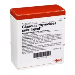 GLANDULA THYREOIDEA Suis Inneel Ampoules, 10 stk