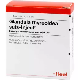 GLANDULA THYREOIDEA Suis Inneel Ampoules, 100 stk