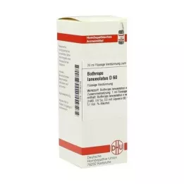 BOTHROPS lanceolatus D 60 Fortynning, 20 ml