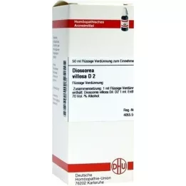 DIOSCOREA VILLOSA D 2 fortynning, 50 ml