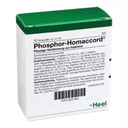 PHOSPHOR HOMACCORD Ampoules, 10 stk