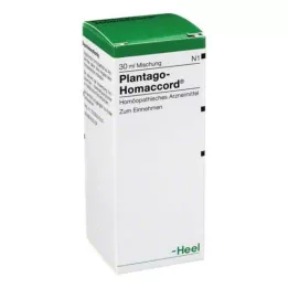 PLANTAGO HOMACCORD Dråper, 30 ml