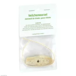 VEILCHENWURZEL Tannhjelp for barn, 1 stk