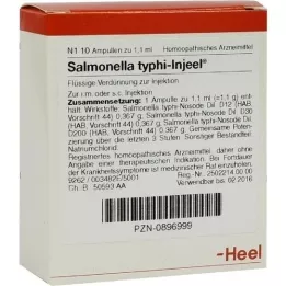 SALMONELLA TYPHI Inneel Ampoules, 10 stk
