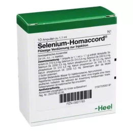 SELENIUM HOMACCORD Ampoules, 10 stk