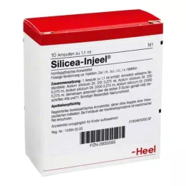SILICEA INJEEL Ampoules, 10 stk