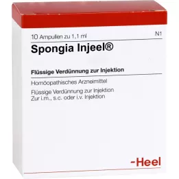 Spongia inh, 10 stk