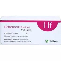 HELLEBORUS FOETIDUS aquos. D 12 ampuller, 8X1 ml