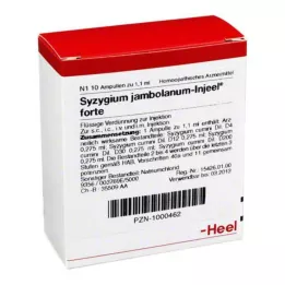 SYZYGIUM JAMBOLANUM INJEEL Forte Ampoules, 10 stk