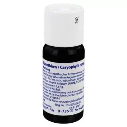 ABSINTHIUM/CARYOPHYLLI komp. blanding, 50 ml
