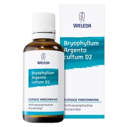 BRYOPHYLLUM ARGENTO cultum D 2 Fortynning, 50 ml