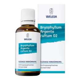 BRYOPHYLLUM ARGENTO cultum D 3 Fortynning, 50 ml