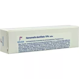 HAMAMELIS DESTILLATA 10% salve, 25 g