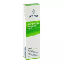MERCURIALIS PERENNIS 10 % salve, 25 g
