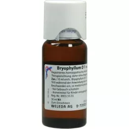 BRYOPHYLLUM D 1 fortynning, 50 ml