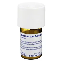 EQUISETUM CUM Sulfure Tostum D 6 Trituration, 20 g