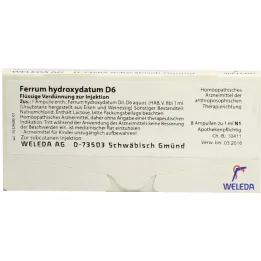 FERRUM HYDROXYDATUM D 6 Ampoules, 8x1 ml