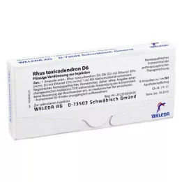RHUS TOXICODENDRON D 6 ampuller, 8X1 ml