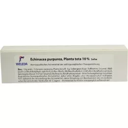 ECHINACEA PURPUREA 10% salve, 25 g
