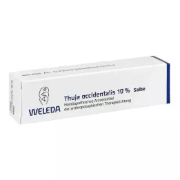 THUJA OCCIDENTALIS 10% salve, 25 g