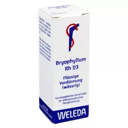 BRYOPHYLLUM RH D 3 fortynning, 20 ml