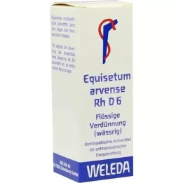EQUISETUM ARVENSE RH D 6 fortynning, 20 ml