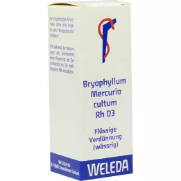 BRYOPHYLLUM MERCURIO cultum Rh D 3 Fortynning, 20 ml