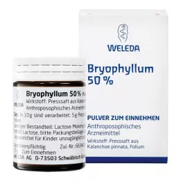 BRYOPHYLLUM 50 % pulver til oral bruk, 50 g