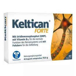 KELTICAN forte kapsler, 40 stk