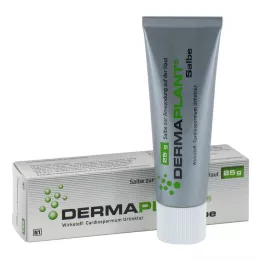DERMAPLANT Salve, 25 g