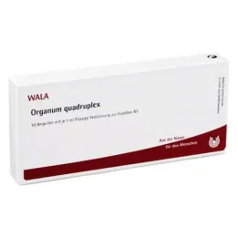ORGANUM quadruplex ampuller, 10X1 ml