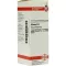SILICEA D 8 Fortynning, 20 ml