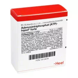 ATP Inneel Forte Ampoules, 10 stk