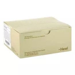 SEROTONIN Inneel Ampoules, 100 stk