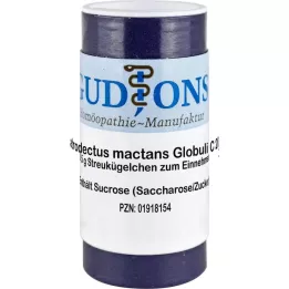 LATRODECTUS mactans C 200 enkeltdosekuler, 0,5 g