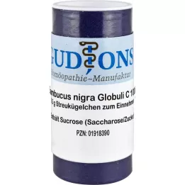 SAMBUCUS NIGRA C 1000 enkeltdosekuler, 0,5 g